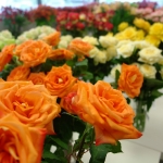 Services - Flowers