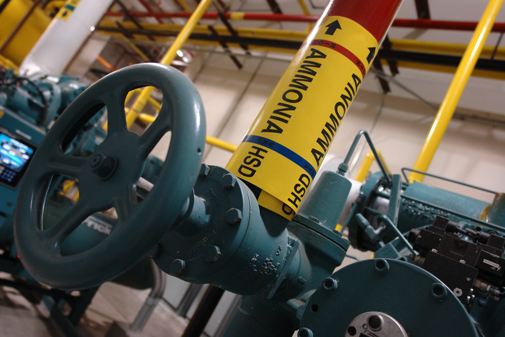 Ammonia refrigerant lines and a compressor hand-wheel valve in the refrigeration plant room