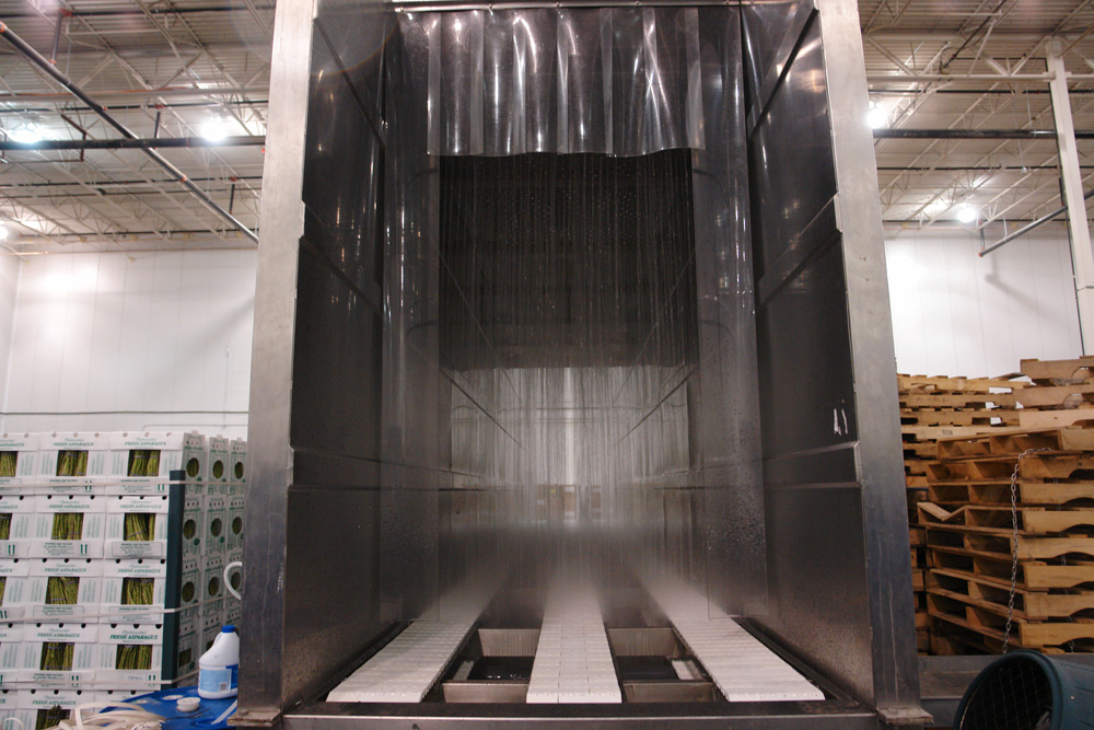 The stainless steel hydro-cooler running, a curtain of chilled water falling over the conveyor beside cases of fresh asparagus
