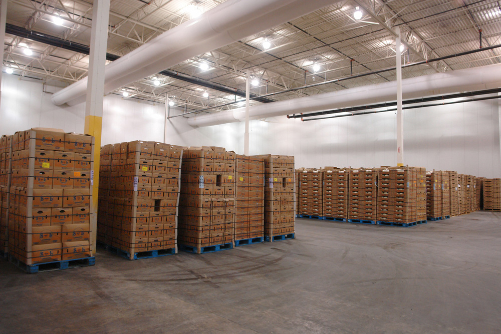 Palletized cartons staged in rows across the dry cargo floor, ready for consolidation