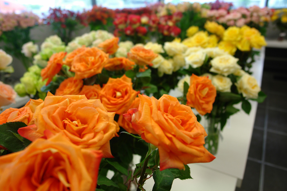 Orange roses and mixed cut flowers laid out on an inspection bench