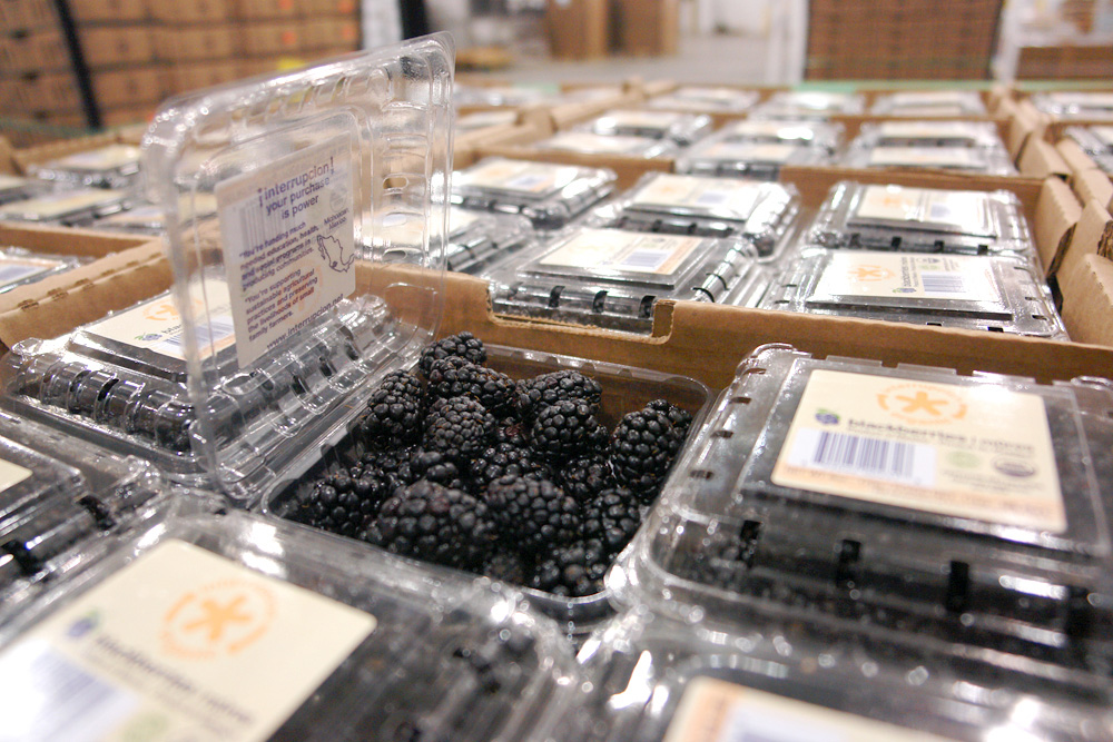 Clamshells of blackberries packed into cases on the produce floor